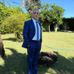 Riscos fiscais em joint ventures de energia renovável entram em pauta na análise de Leonardo Manzan.