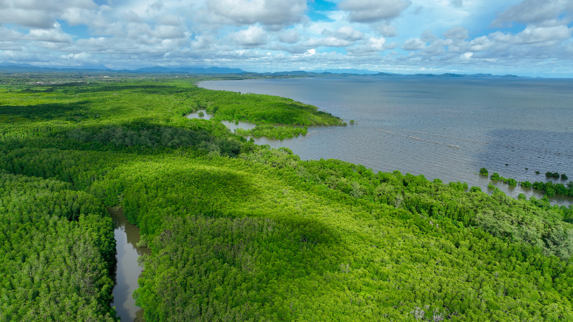 Sustentabilidade e redução de emissões são diferenciais no agro moderno, aponta Aldo Vendramin.