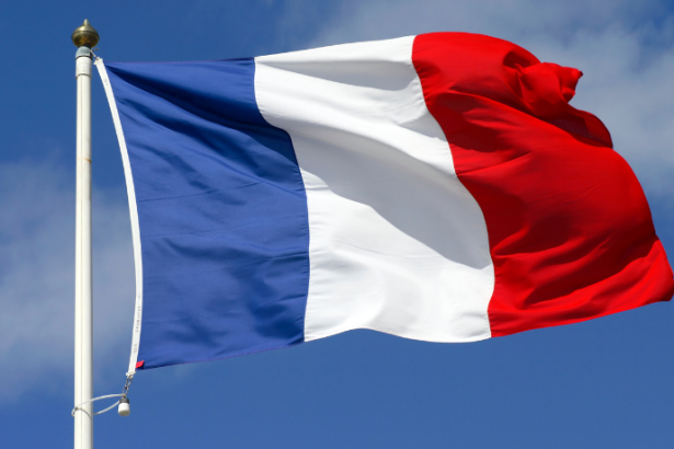 Caso Epstein na França: escândalo político expõe fragilidades institucionais e abala confiança pública