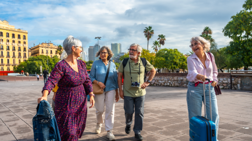 Sindnapi - Sindicato Nacional dos Aposentados, Pensionistas e Idosos