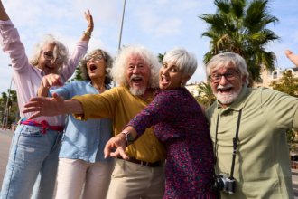 Sindnapi - Sindicato Nacional dos Aposentados, Pensionistas e Idosos