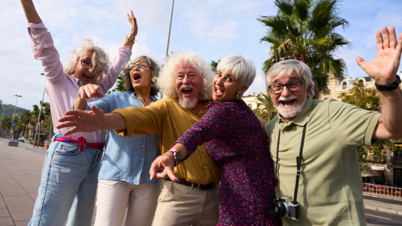Sindnapi - Sindicato Nacional dos Aposentados, Pensionistas e Idosos