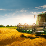 Reforma Tributária entra em nova fase em julho: veja o que muda para empresas e para o produtor rural